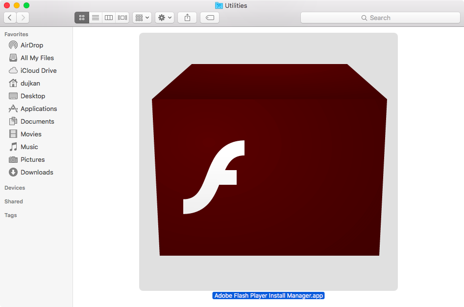 Download and install adobe flash player